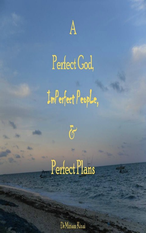 Product picture A Perfect God, Imperfect People, and Perfect Plans
