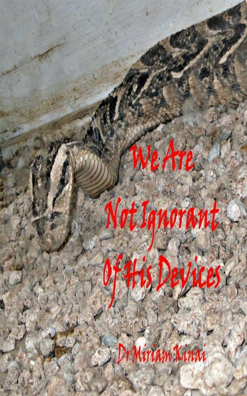 Product picture We Are Not Ignorant of His Devices